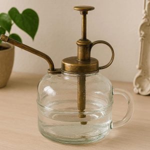 Glass Watering Can Long Narrow Spout Transparent Vintage Indoor Plant Water Sprinkler Cute Vanity Room Decor Gift